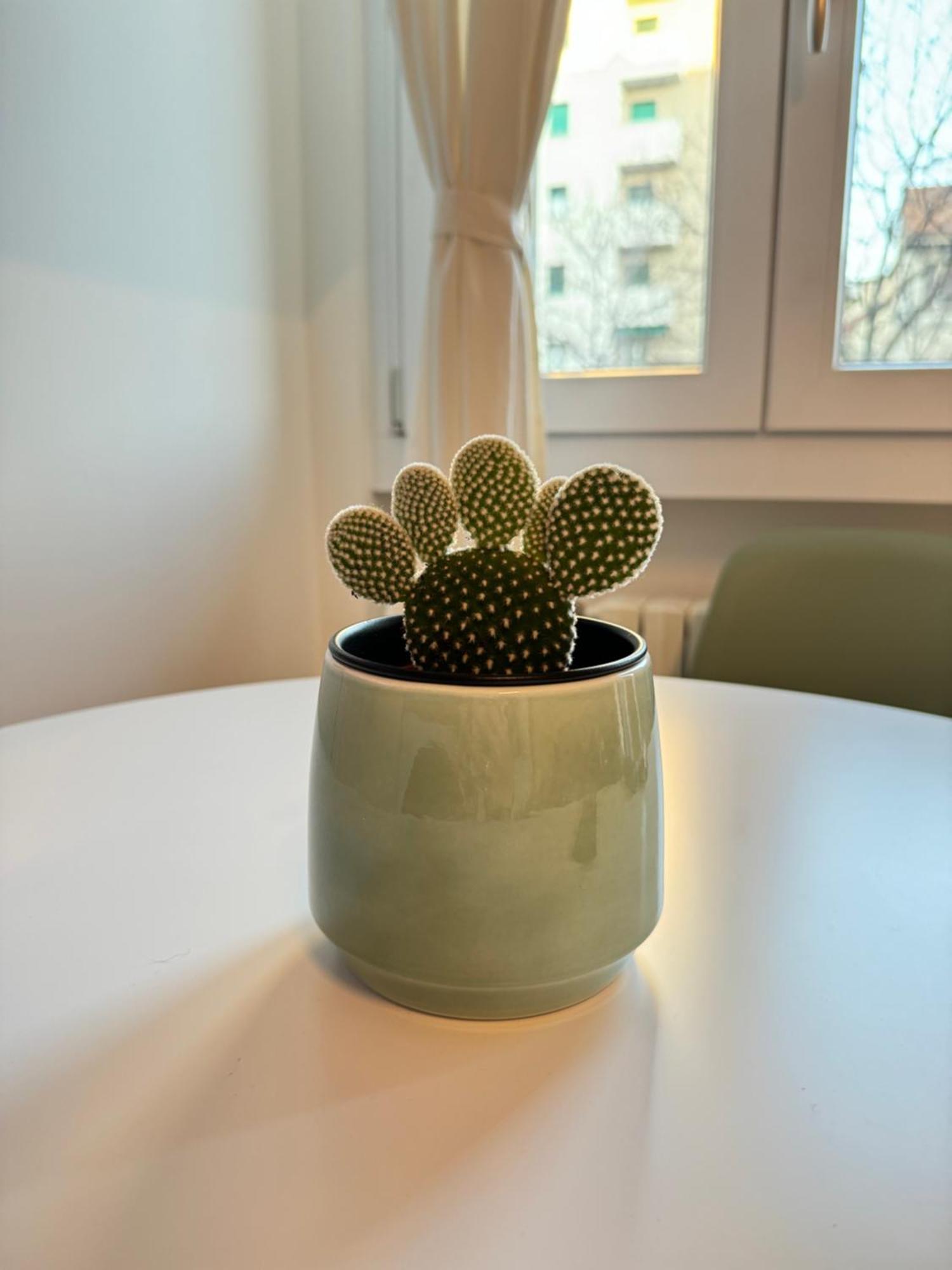 Arque - Apartment *